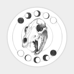 wolf skull Magnet
